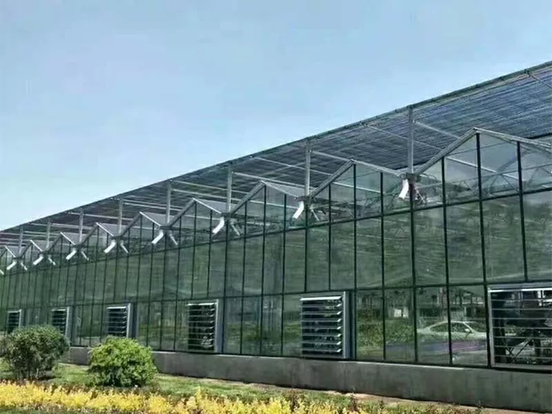 Ի՞նչն է դարձնում Steel Vertical Farm-ը կայուն գյուղատնտեսության ապագան: